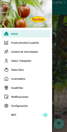 Android application Productividad Perichan screenshort