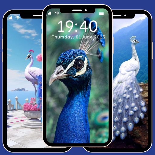 Beautiful Peacock Wallpaper 4K Download on Windows