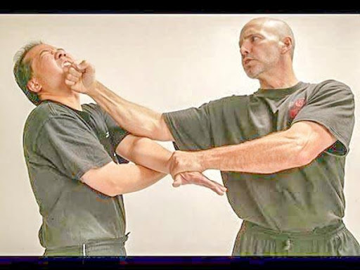 Wing Chun Techniques for Beginers