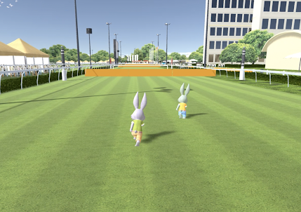 Rabbit Race