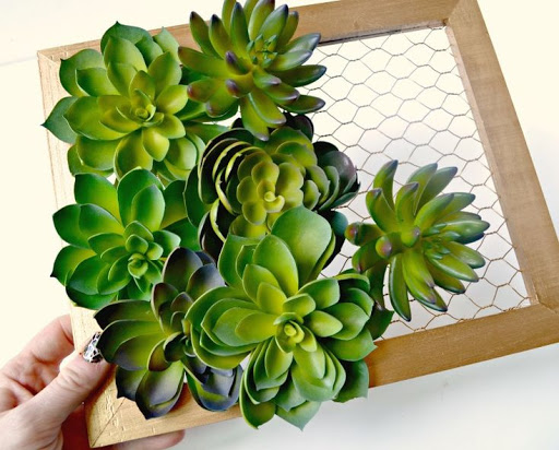 Creative Succulents Ideas Screen 3