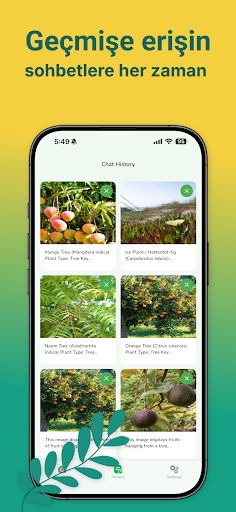 Ağaç Tanımlayıcı: Ahşap ve ekran görüntüsü