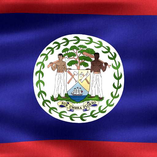 Belize flag logo