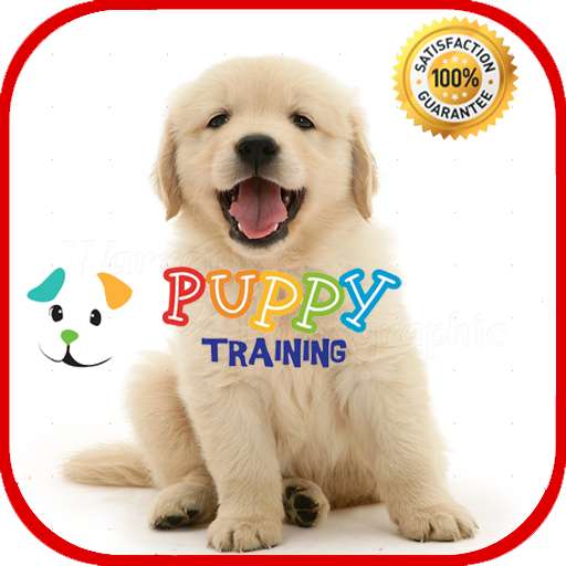 Puppy Training  Icon