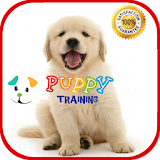 Puppy Training icon
