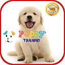 Puppy Training 