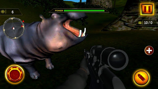 Forest Animal Shooting