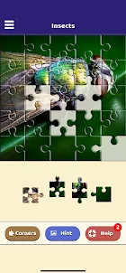 Insect Love Puzzle