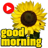 Animated Good Morning Stickers for WhatsApp icon