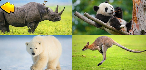 Learning animals for toddlers Screen 3