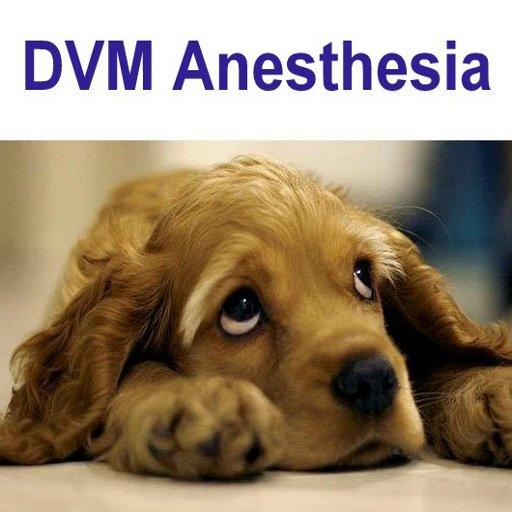 DVM Anesthesiology logo