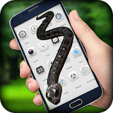 Snake On Screen - Snake Screen icon