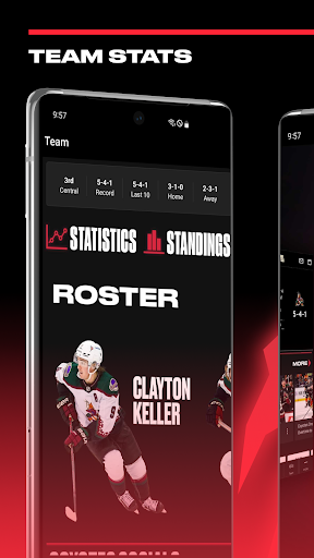 Screenshot of Arizona Coyotes