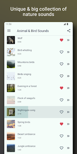 Bird and Animal sounds Screen 2