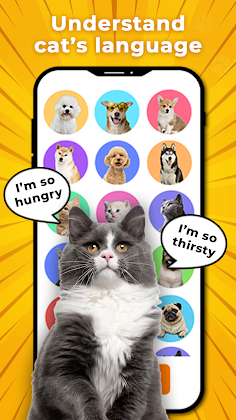 MeowTalk-Cat Translator Prank - Screenshot 1