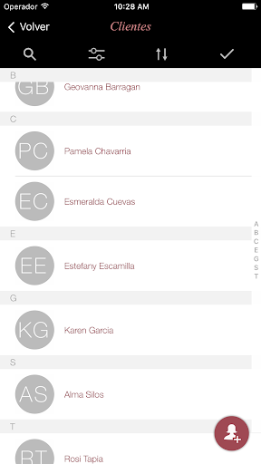 Mis Clientes Screen 2