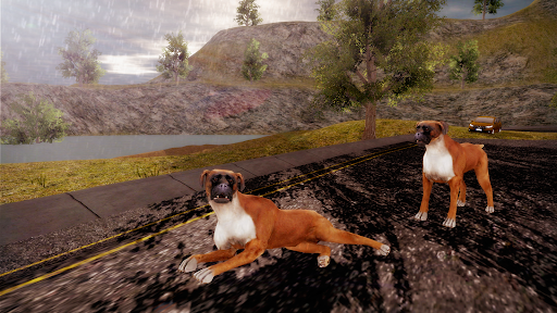 Boxer Dog Simulator 3D 8