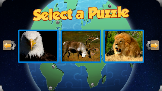 Puzzle Animal World