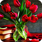 Red Tulips Live Wallpaper icon