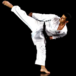 Cover Image of Herunterladen PocketPT - Shotokan-Karate  APK
