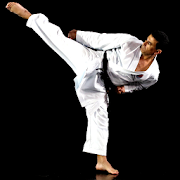 Top 18 Sports Apps Like PocketPT - Shotokan Karate - Best Alternatives