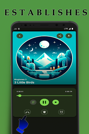 Ringtones P30 Pro Screen 2