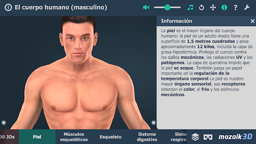 Screenshot 2 El cuerpo humano en 3D android