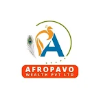 AFROPAVO WEALTH PRIVATELIMITED