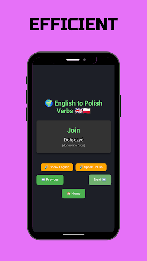 Polish Verbs