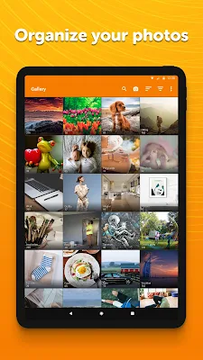 Simple Gallery Pro Apk