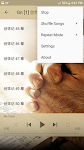 screenshot of Chinese Bible 圣经