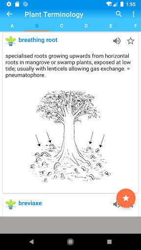 Plant Terminology A-Z Complete Screen 3