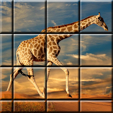 Picture puzzle games, mind games icon