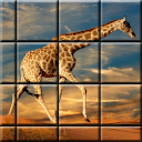 Picture puzzle games, mind games