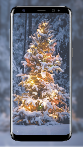 クリスマスツリーライブ壁紙 By Studio Wallpaper Google Play 日本 Searchman アプリマーケットデータ