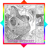 Adult Coloring Books icon