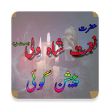 Hazrat Nimatullah Shah Wali R.A - Predictions icon
