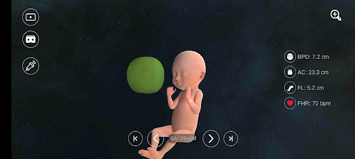 VR Fetus Home Player Screen 2