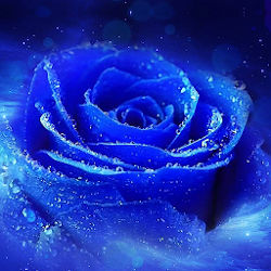 3d Wallpaper Rose For Android Image Num 35