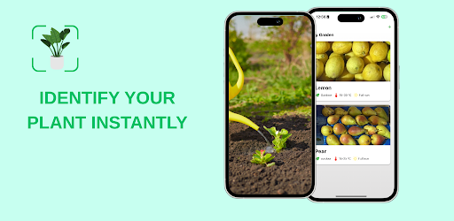 Plant Identifier - Petals