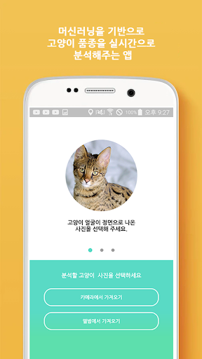 Android application What is your cat? screenshort