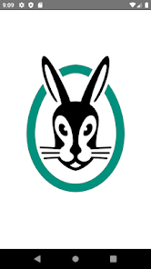 Vaillant advance on sale