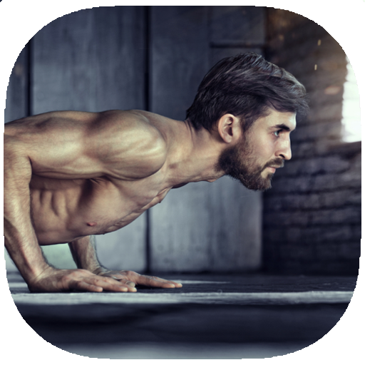 Push Ups Exercises Guide