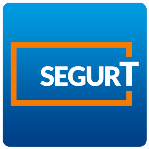 Segurt Elecnor  Icon