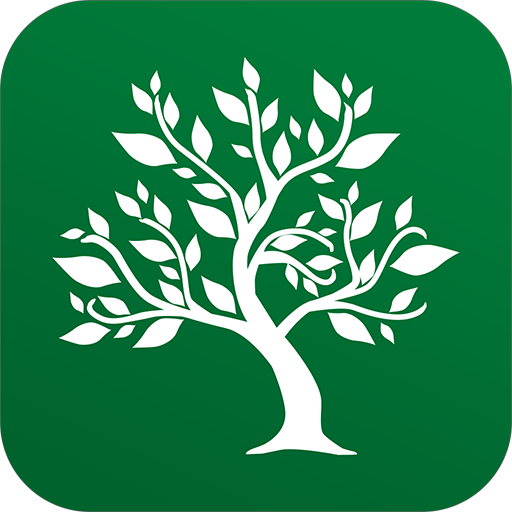 Park Lane Finance Solutions logo