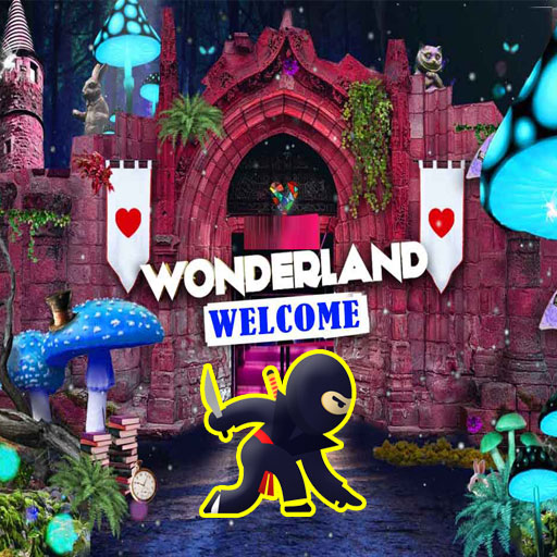 Super Ninja Wonderland Adventure