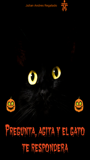 EL Gato Sincero Screen 2
