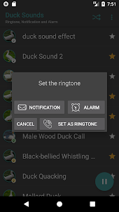 Appp.io - Duck Sounds