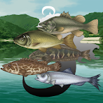 Touch Fishing - River Apk