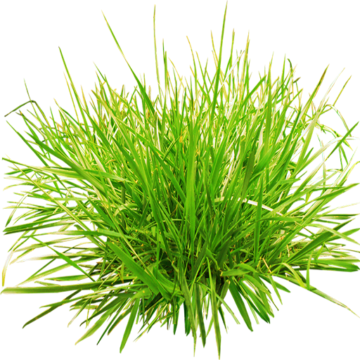 Grass and Flowers Simulator logo